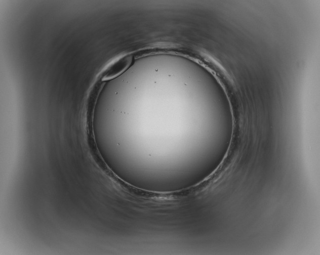 X0000115781315200911201304