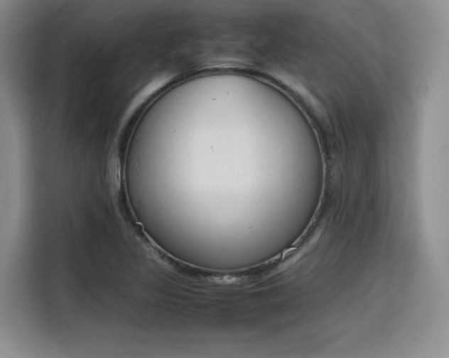 X0000115781317200911201304