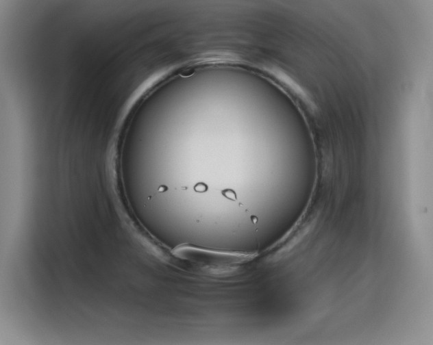 X0000115781325200911201304