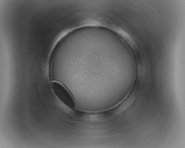 X0000115781326200911201304
