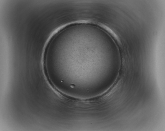 X0000115781327200911201304