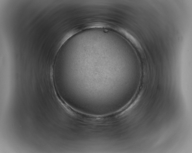 X0000115781329200911201304