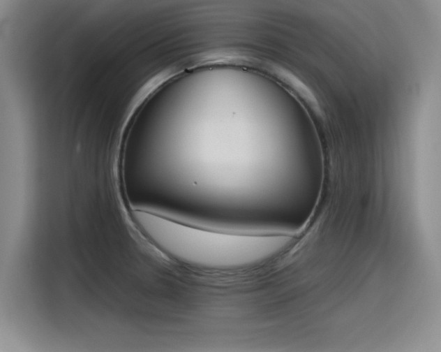 X0000115781330200911201304