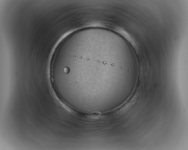 X0000115781331200911201304