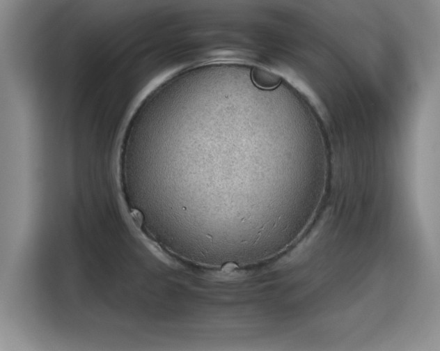 X0000115781333200911201304