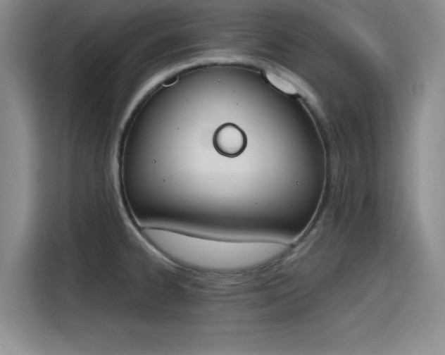 X0000115781334200911201304