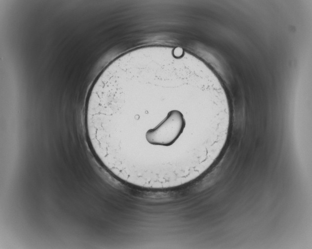 X0000115781338200911201304