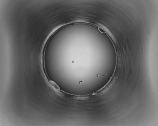 X0000115781339200911201304