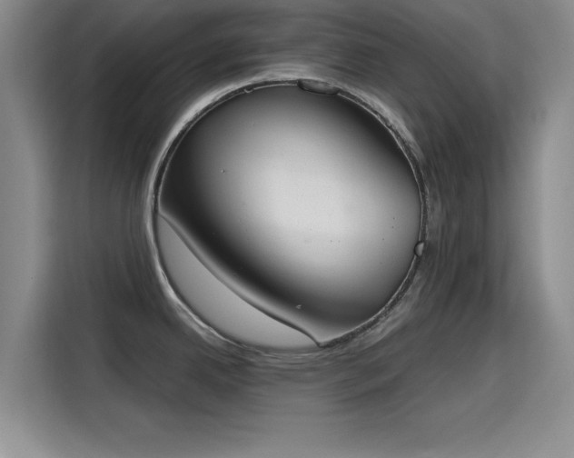 X0000115781342200911201304
