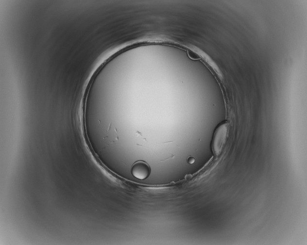 X0000115781343200911201304