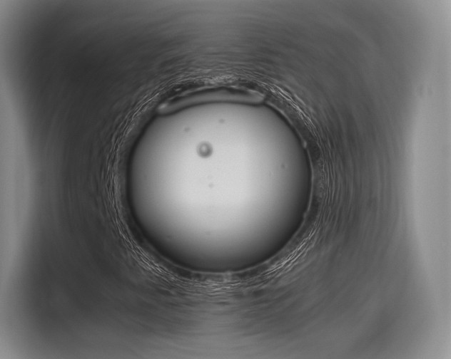 X0000115781345200911201304