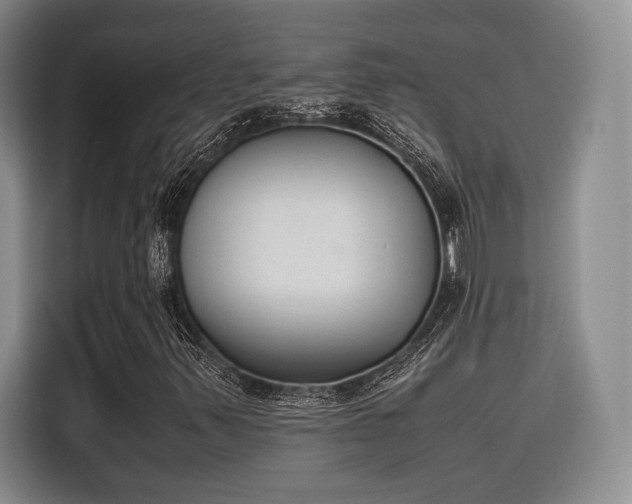 X0000115781347200911201303