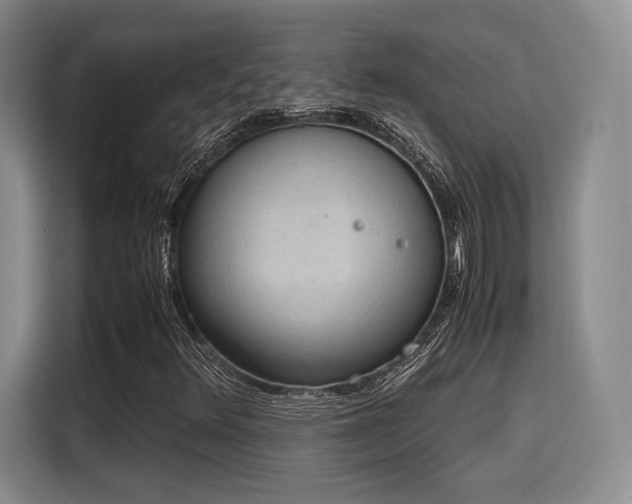 X0000115781348200911201303