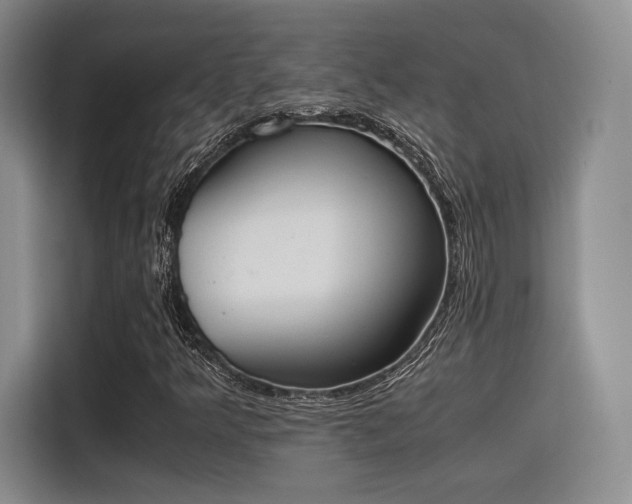 X0000115781349200911201303