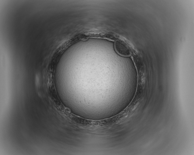 X0000115781350200911201303
