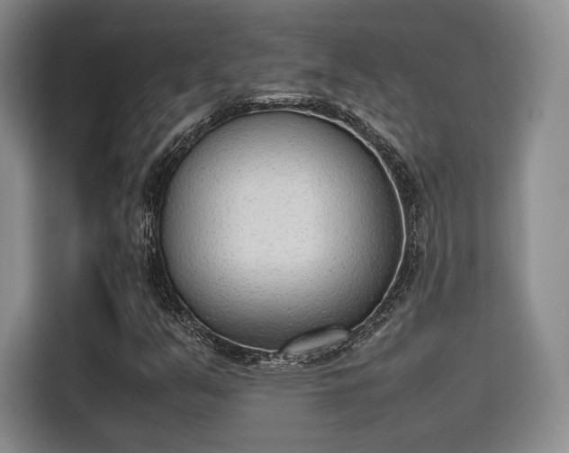 X0000115781351200911201303