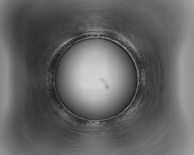 X0000115781352200911201303