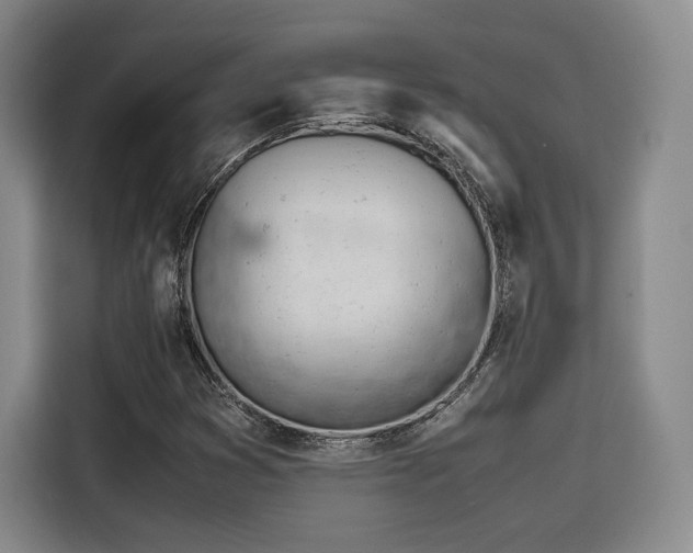 X0000115781353200911201303