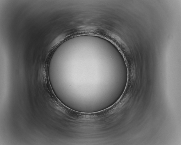 X0000115781354200911201303