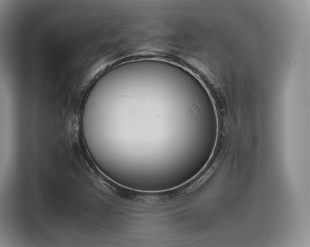X0000115781355200911201303