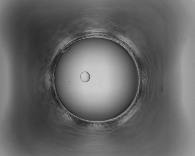 X0000115781357200911201303