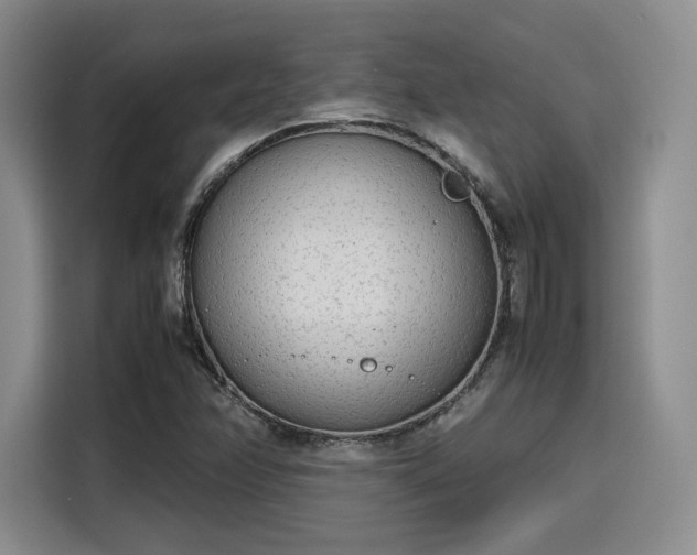 X0000115781358200911201303