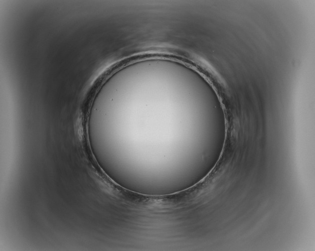 X0000115781360200911201303
