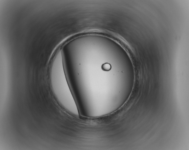 X0000115781364200911201303
