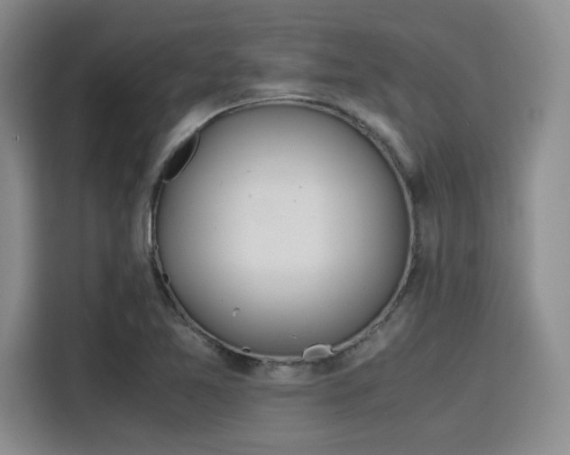 X0000115781365200911201303