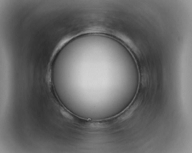 X0000115781366200911201303