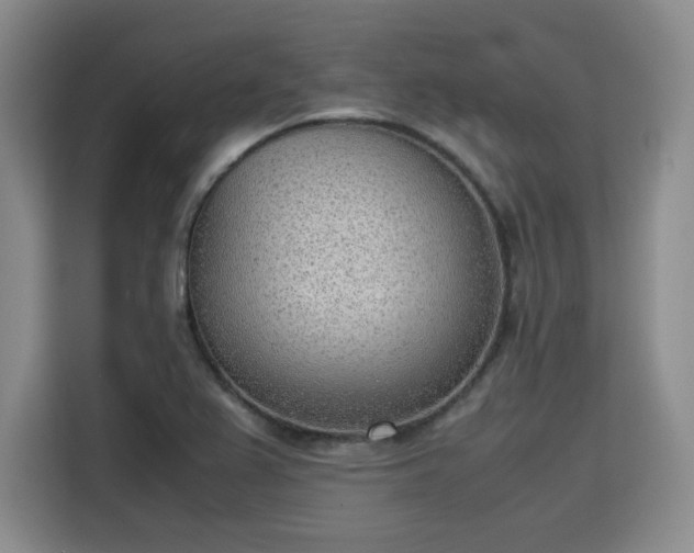 X0000115781367200911201303