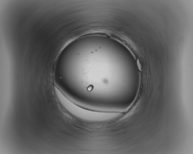 X0000115781369200911201303