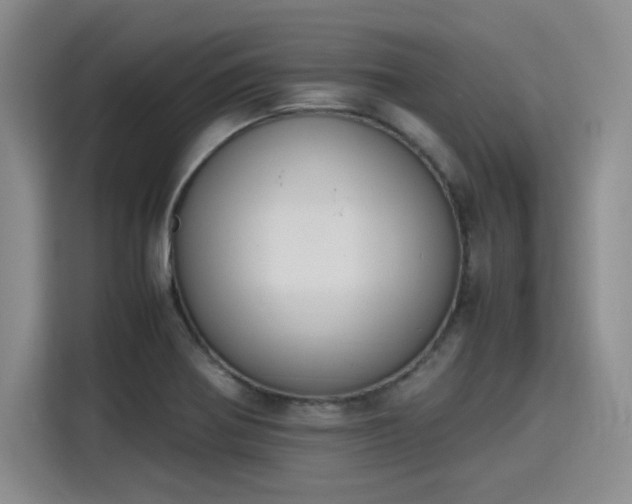 X0000115781370200911201303