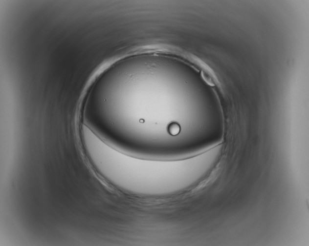 X0000115781373200911201303