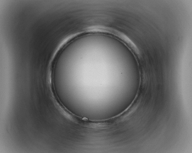 X0000115781376200911201303