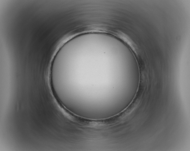 X0000115781379200911201303