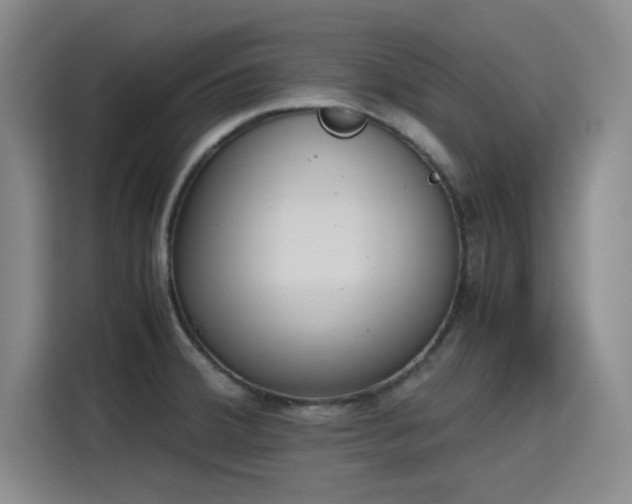 X0000115781380200911201303