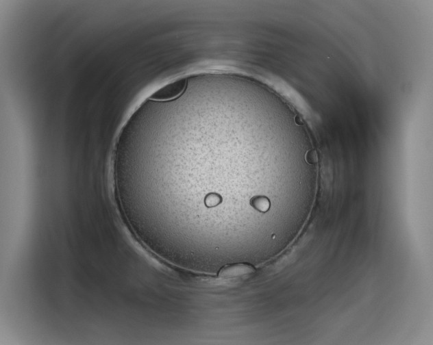 X0000115781382200911201303