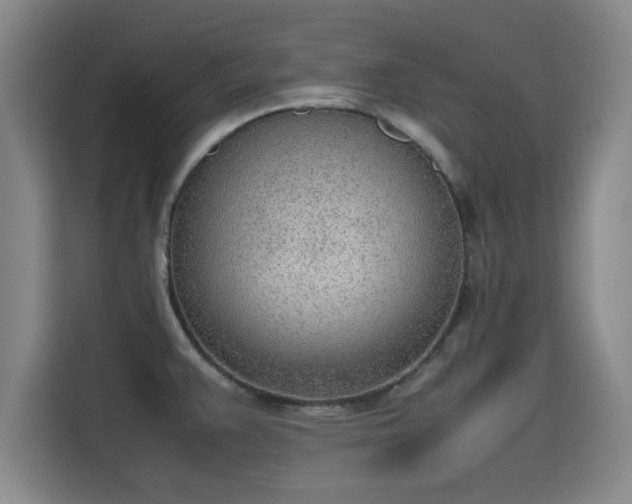 X0000115781383200911201303