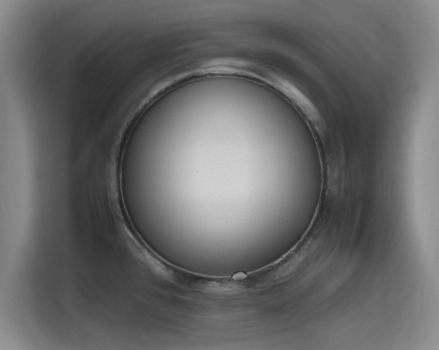 X0000115781384200911201303