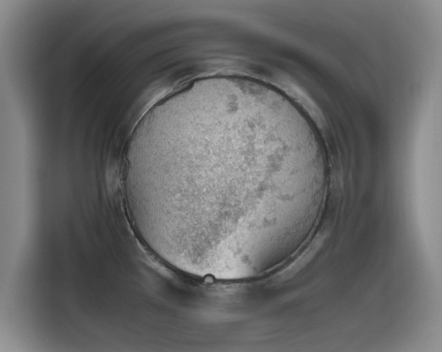 X0000115781385200911201303