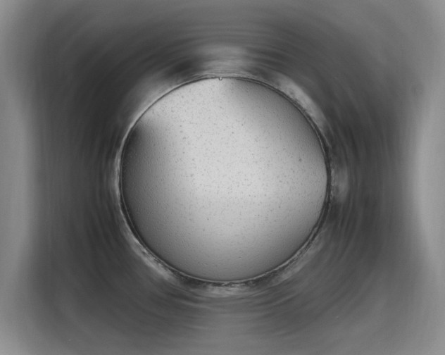 X0000115781386200911201303