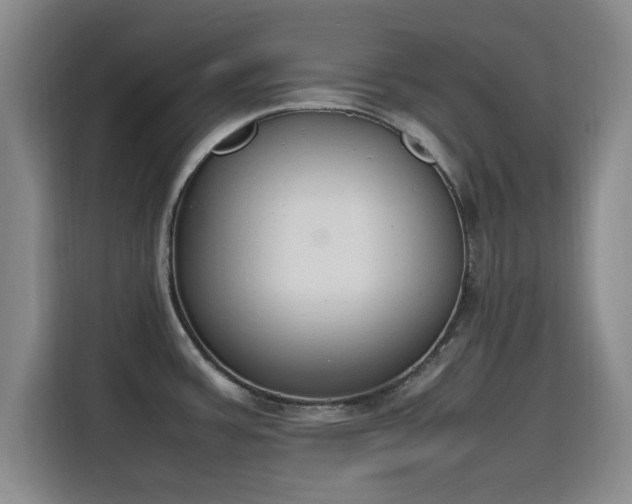 X0000115781387200911201303