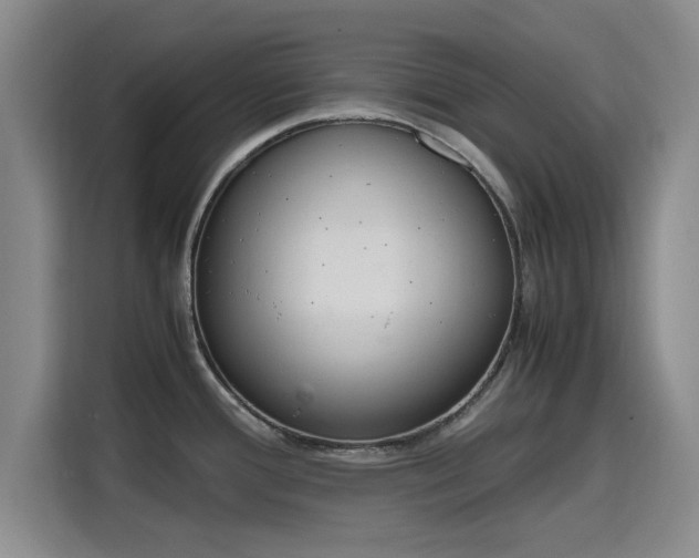 X0000115781388200911201303