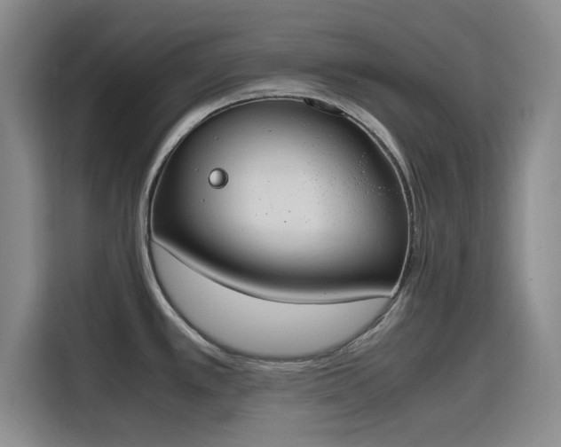 X0000115781389200911201303
