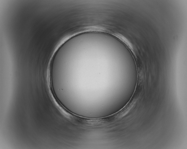 X0000115781391200911201303
