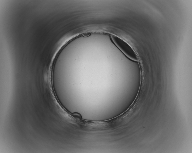 X0000115781392200911201303