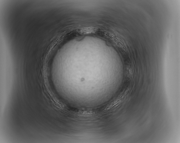 X0000115781393200911201302