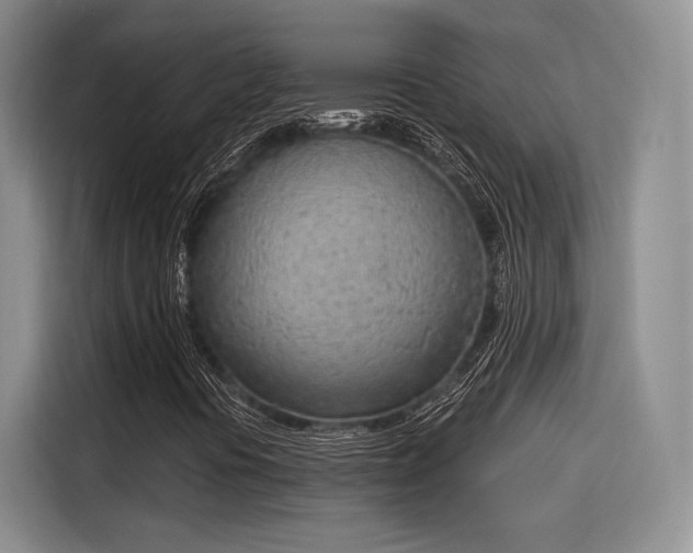 X0000115781394200911201302