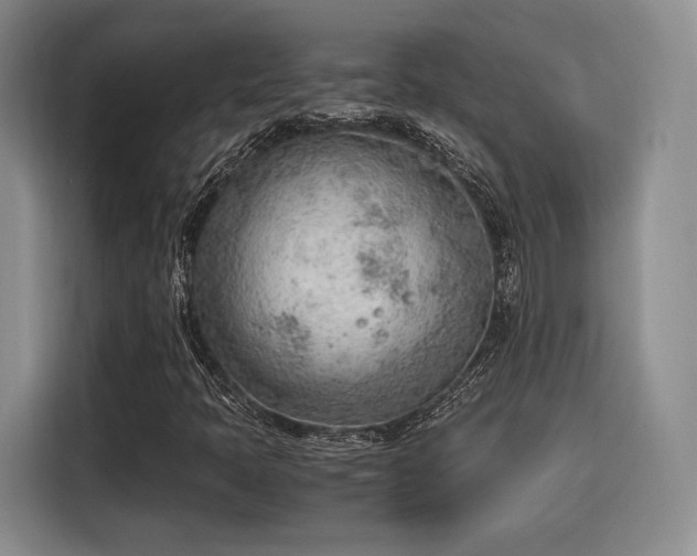 X0000115781397200911201302
